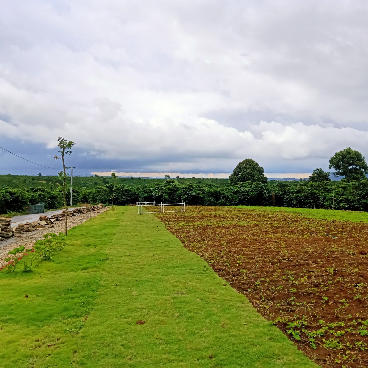  125m2