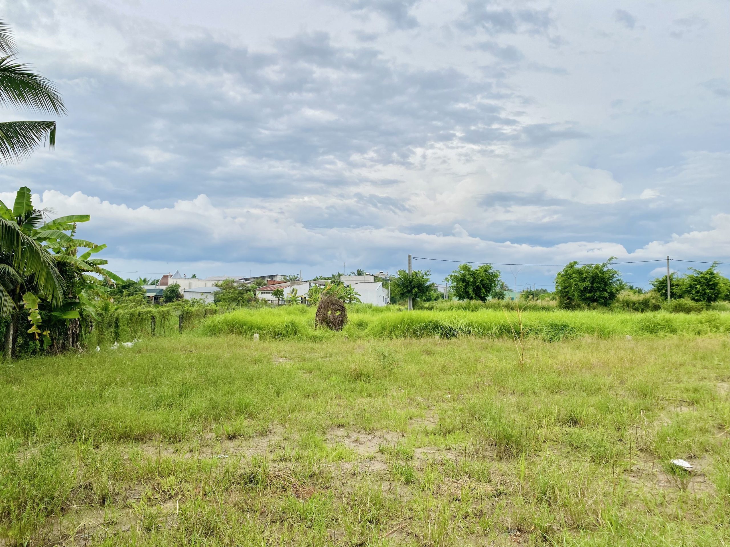 Bán nhanh 2 nền đất đẹp tại Tân Tỉnh B, Tân Mỹ Chánh Tp. Mỹ Tho Tiền Giang