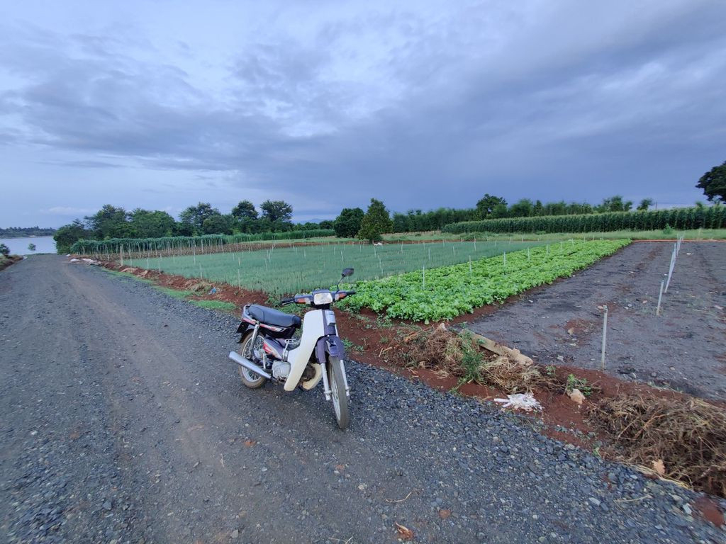 CẦN BÁN ĐẤT CHÍNH CHỦ GIÁ RẺ GẦN HỒ EA KAR_ĐĂK LĂK