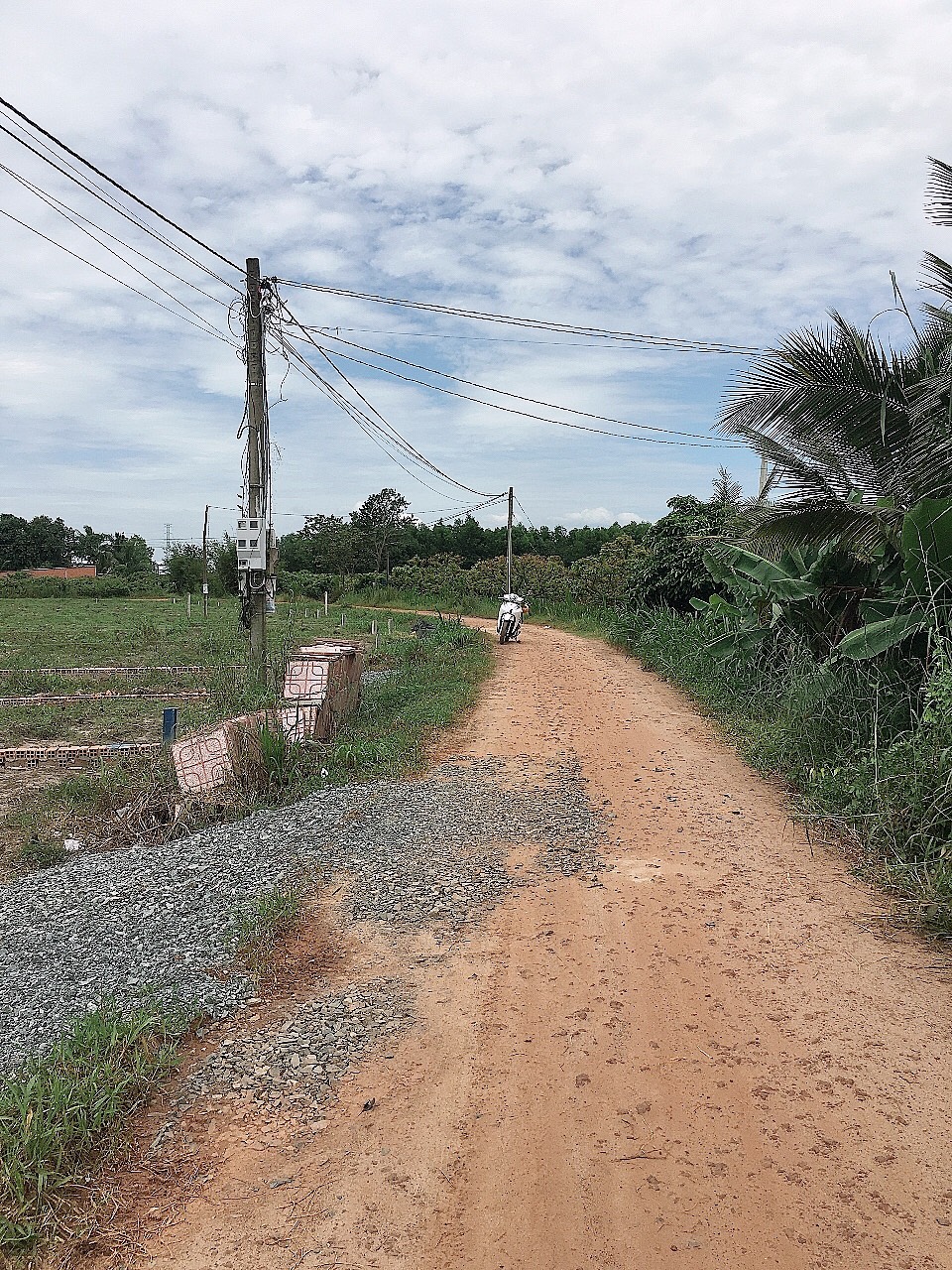 15 lô bàu đồn full thổ cư tách sẳn -gò dầu -tây ninh