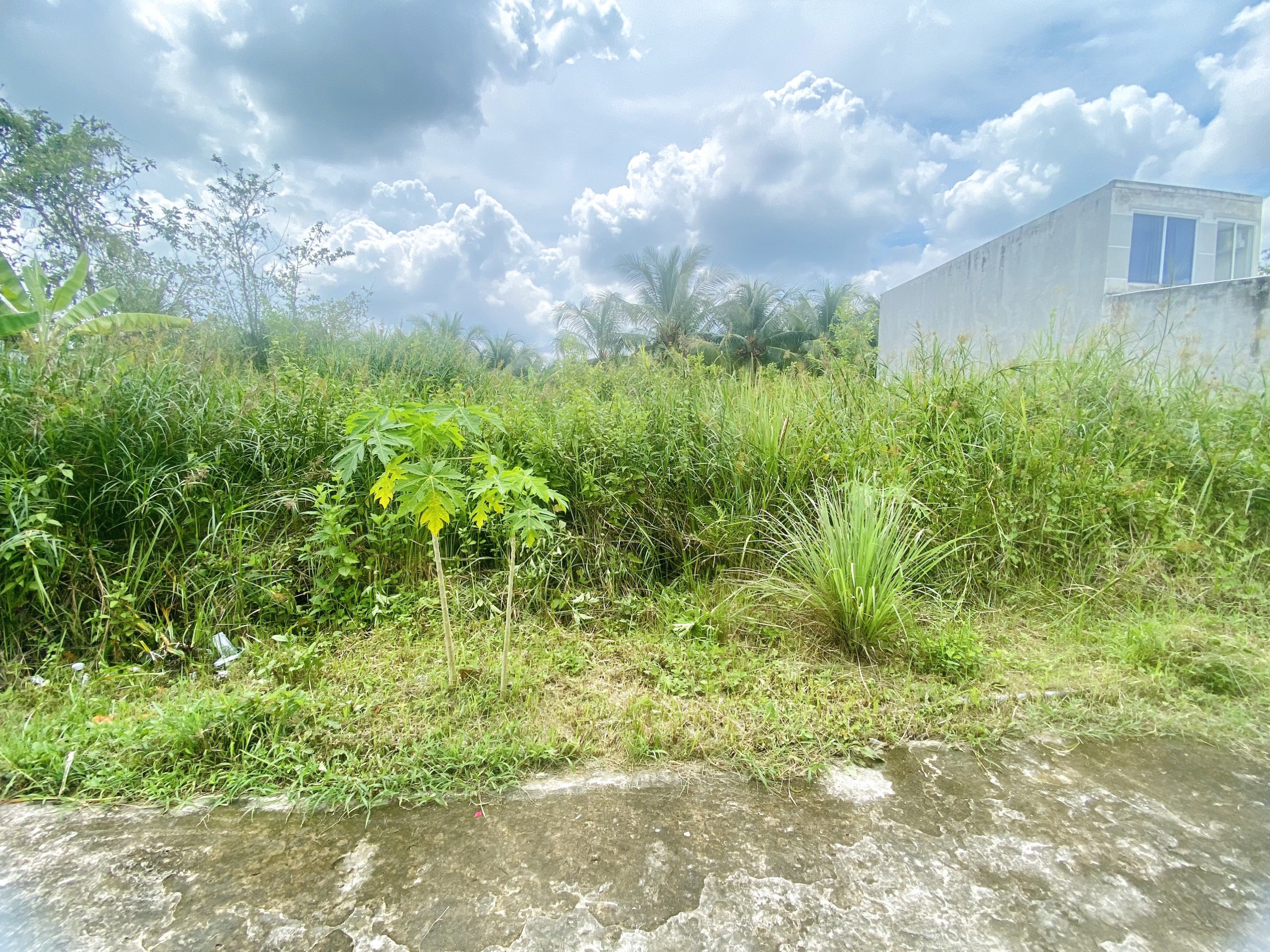 Bán nhanh đất nền đẹp 2 mặt tiền tại ấp 5 Đạo Thạnh Tp. Mỹ Tho Tiền Giang