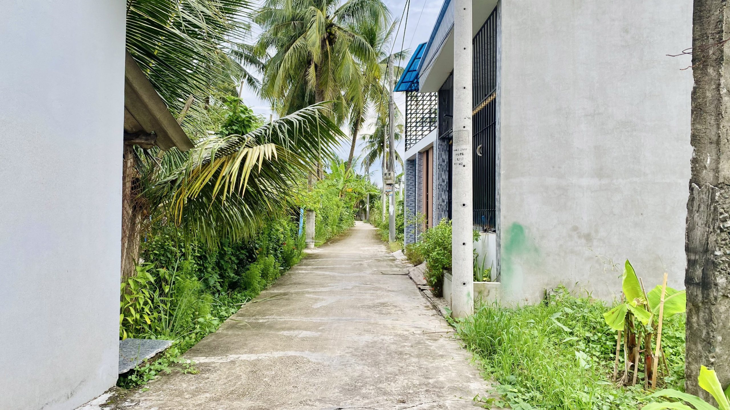 Bán đất cách lộ nhựa 50m, đường ô tô vào tới đất