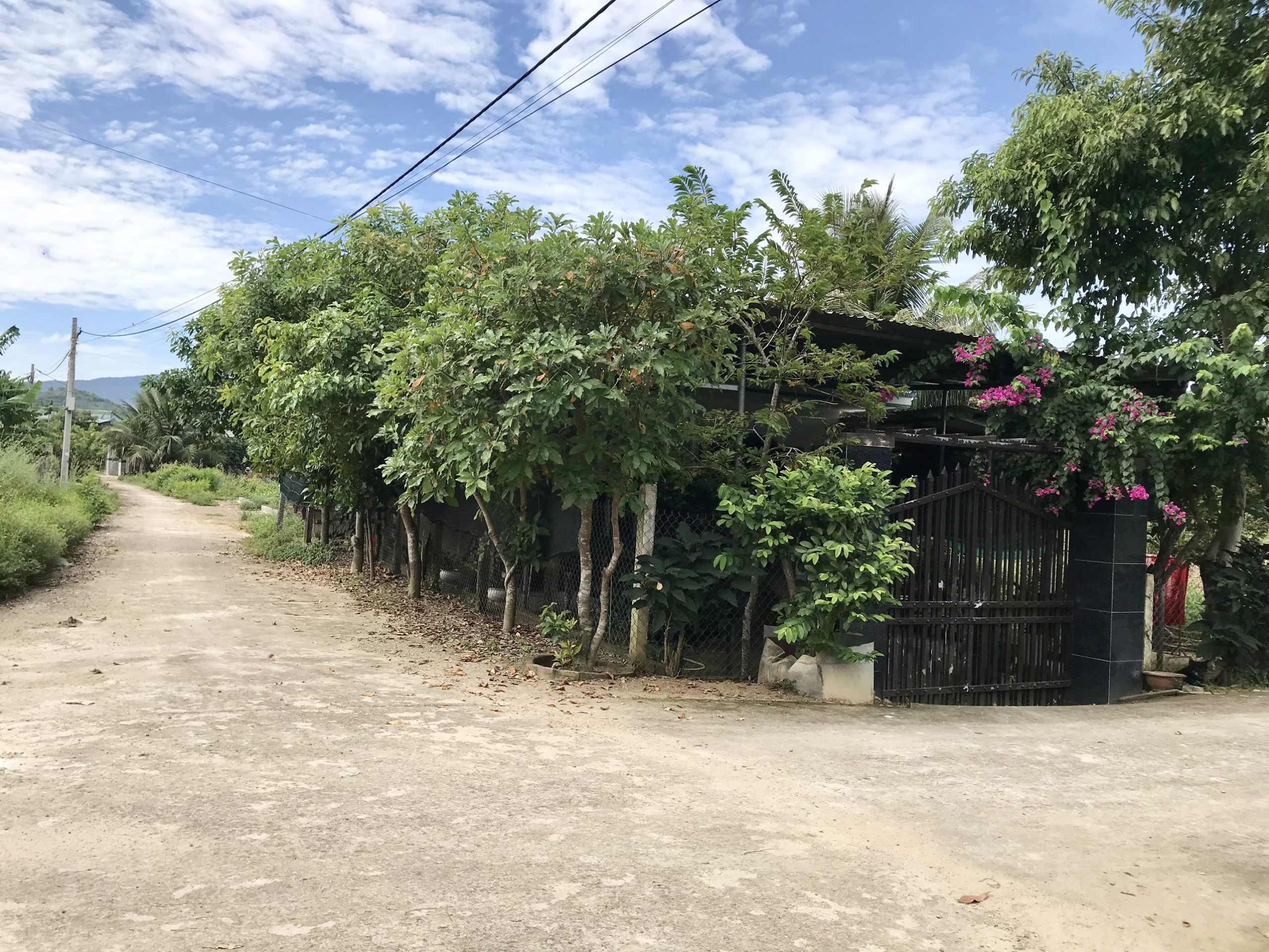 Bán Đất Thổ Cư Thôn 1 Diên Đồng, Diên Khánh Chỉ 530 triệu