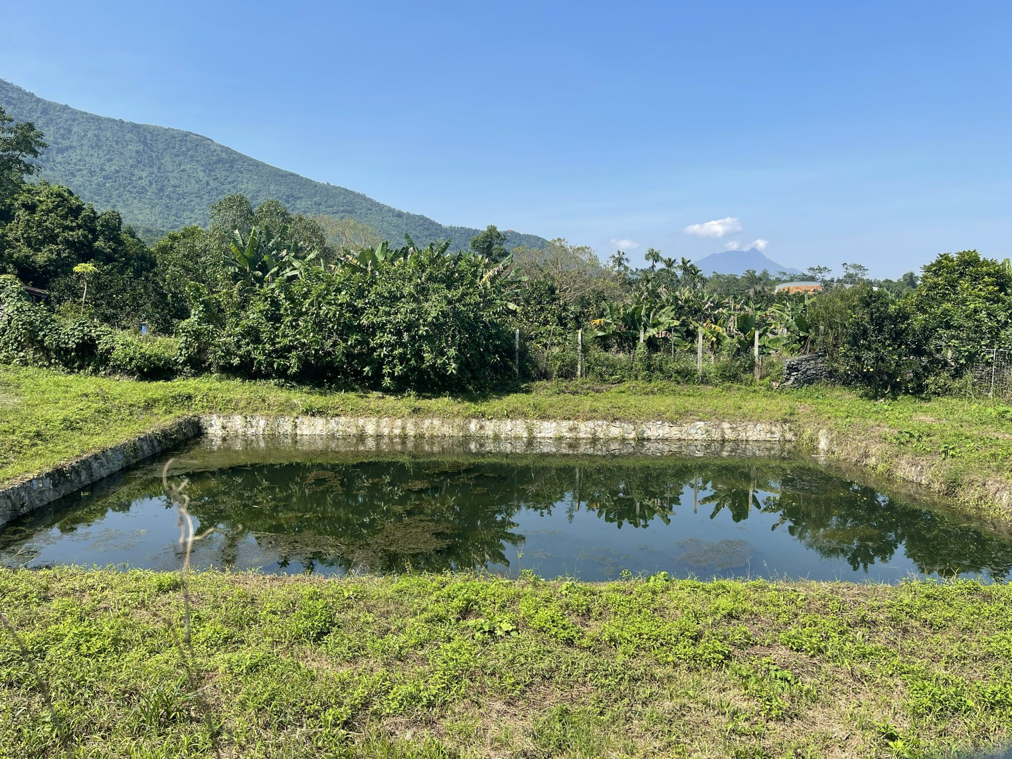 BÁN ĐẤT YÊN BÌNH THẠCH THẤT 2457m SẴN AO VIEW THOÁNG GIÁ ĐẦU TƯ