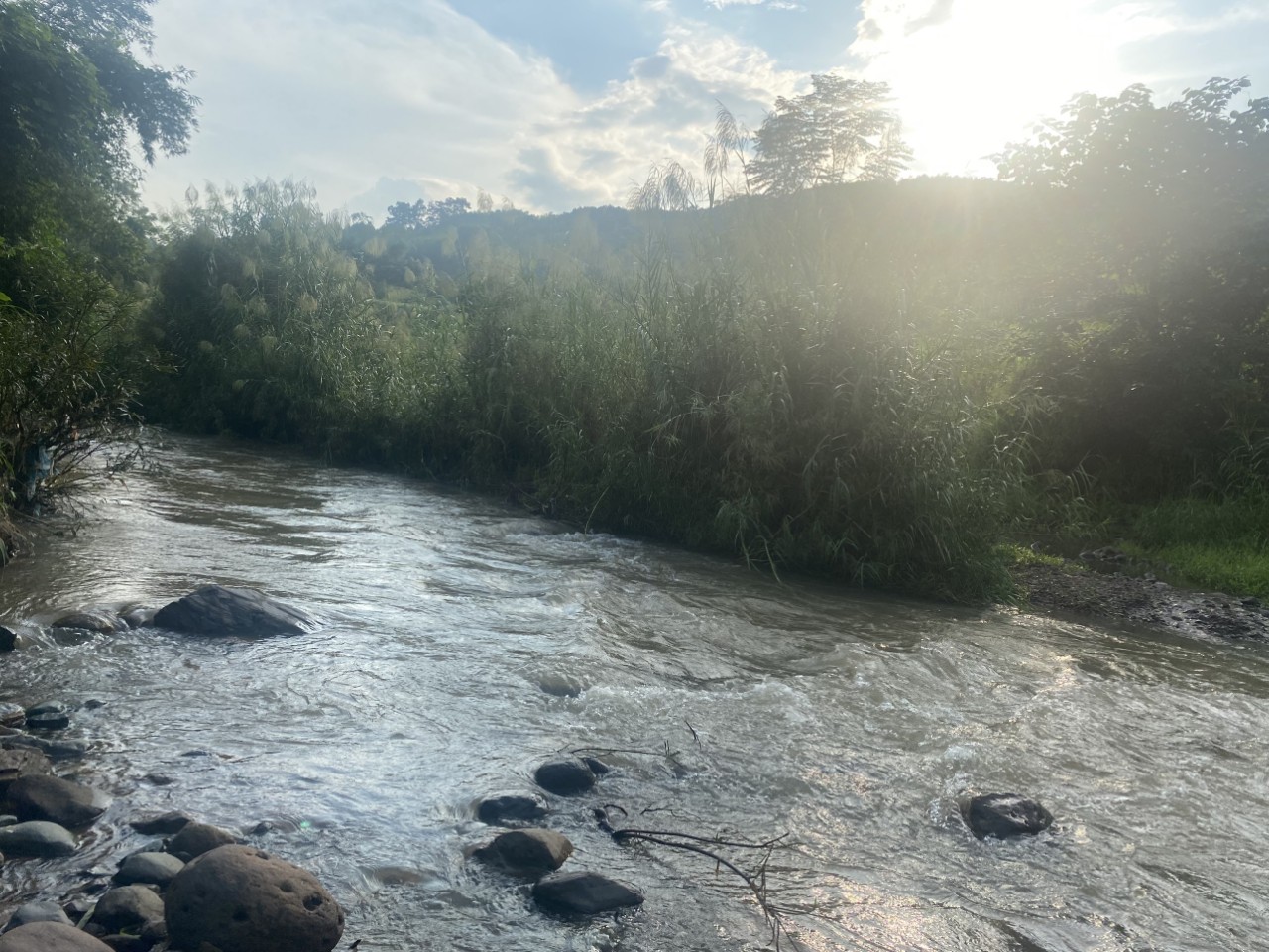 Cần bán mảnh đất rừng sản xuất 1,3ha chỉ 34k/m2 tại Dũng Phong Đất đã được trồngh cam, cần bán do gđ không chăm sóc