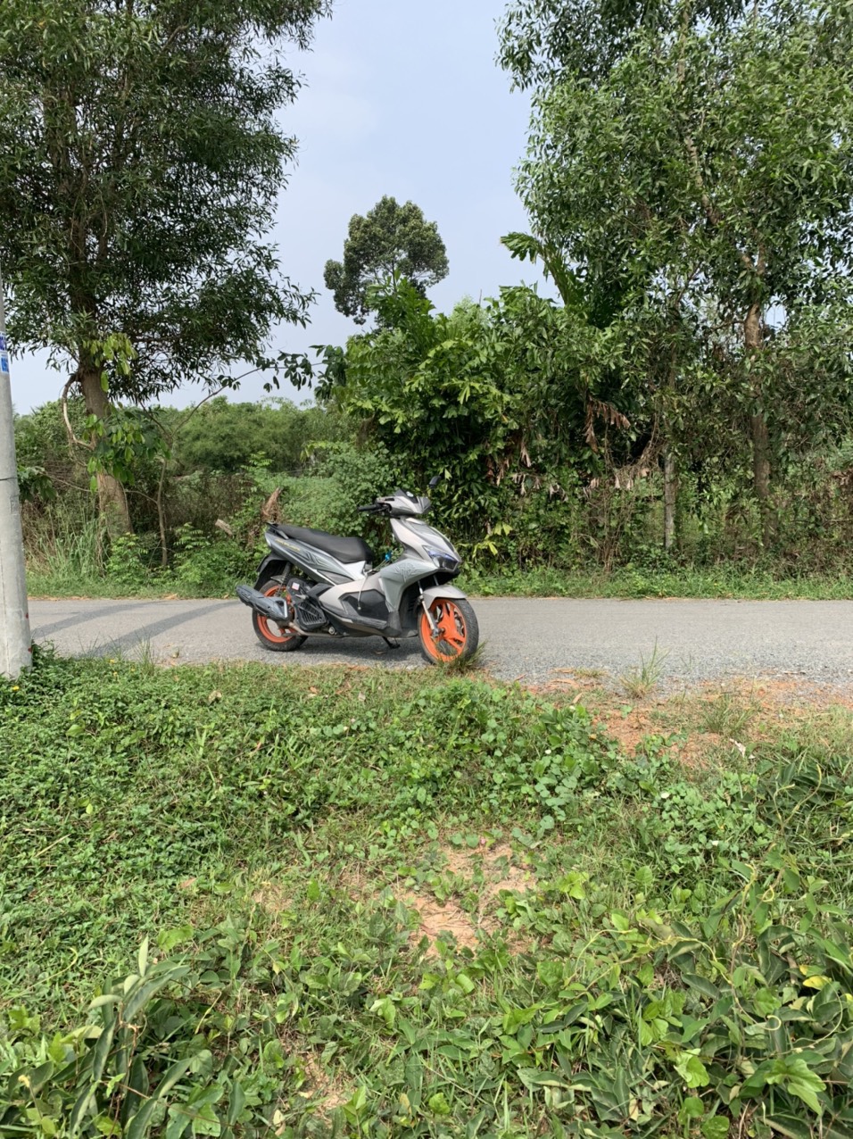 ĐẤT MẶT TIỀN ĐƯỜNG NHỰA 4M THỔ CƯ CÂY DA HIỆP THẠNH