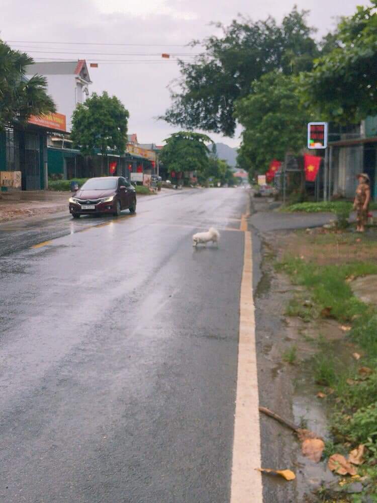 BÁN ĐẤT DÂN HÒA, KỲ HƠN HÒA BÌNH, DIỆN TÍCH 201M2, GIÁ 28 TRIỆU/M2