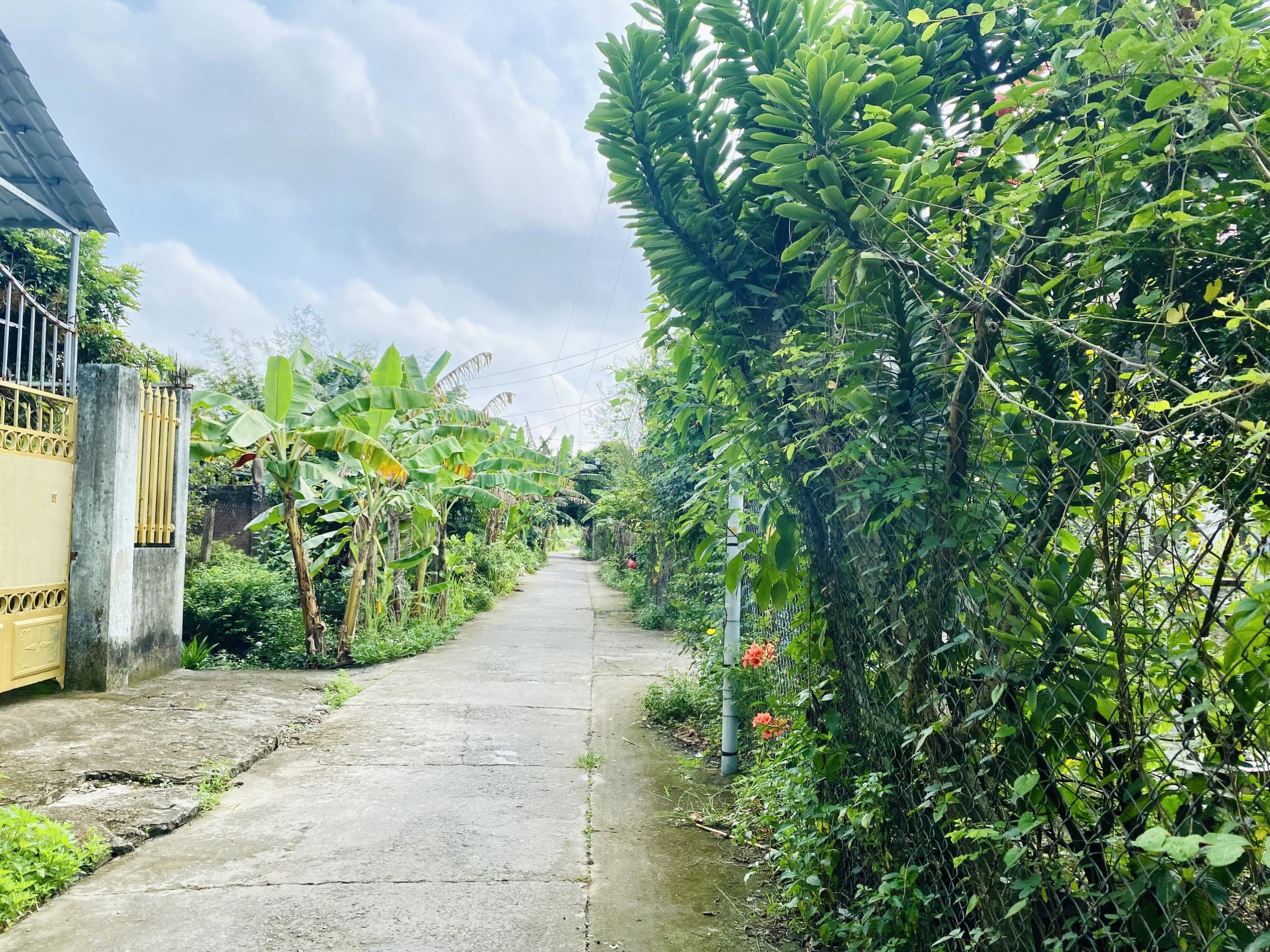 Bán gấp đất nền 2 mặt tiền trước sau thuộc ấp 3B xã Đạo Thạnh Tp. Mỹ Tho Tiền Giang