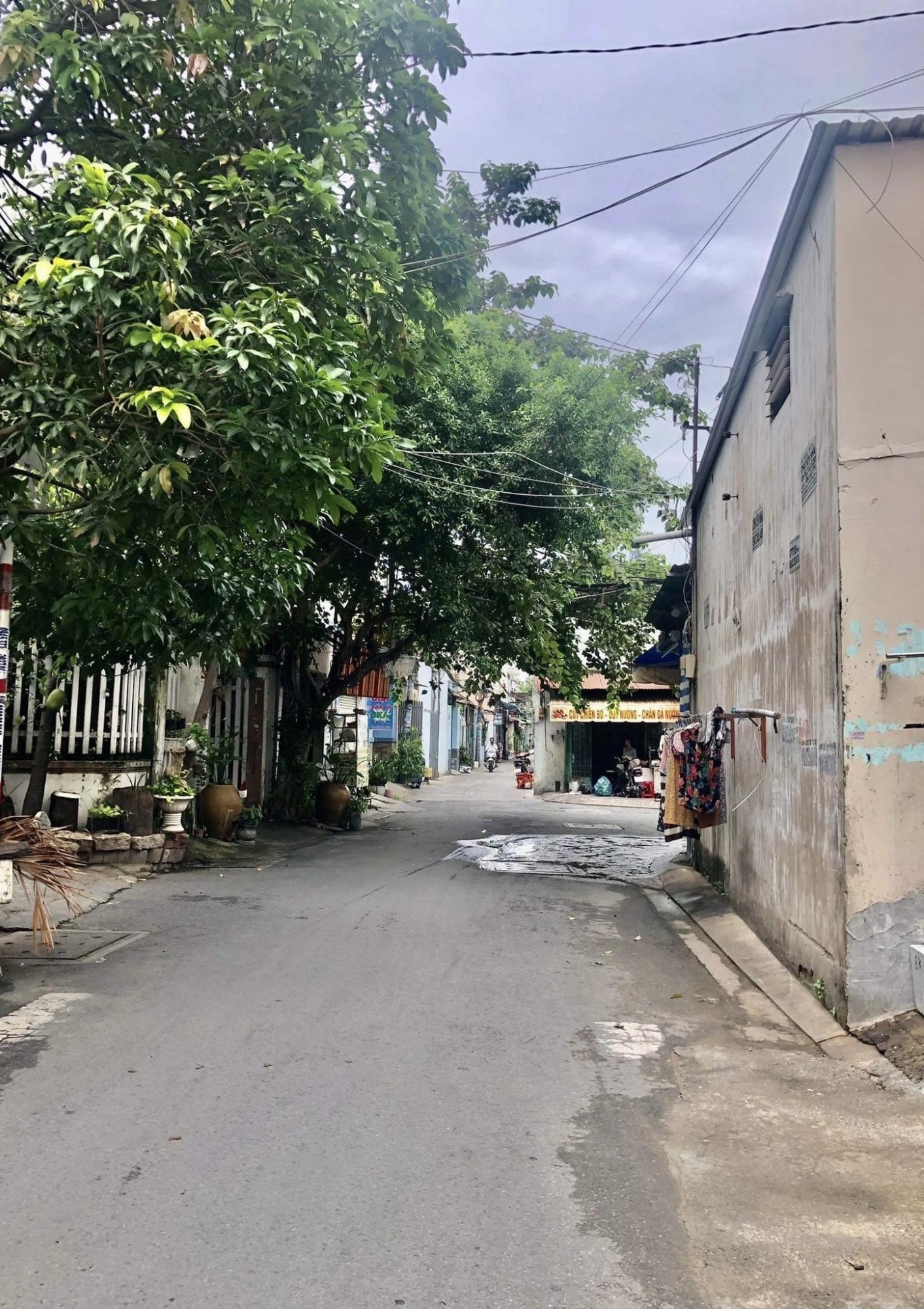 Hạ 1 Tỷ, Mặt Tiền KD Lý Thánh Tông, Tân Phú Ngang Khủng 9m, 56m2