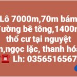  7000m2