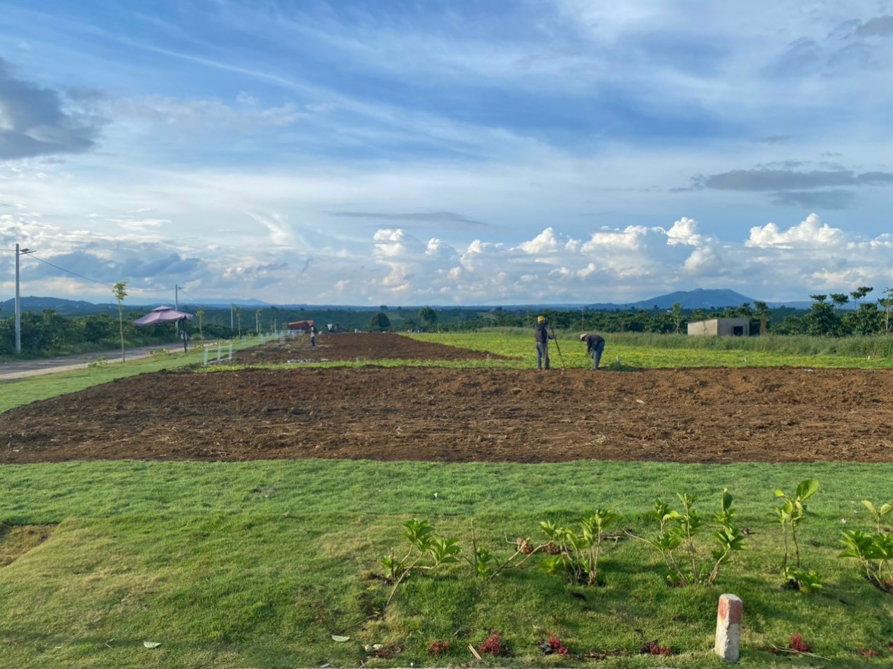 200m2
