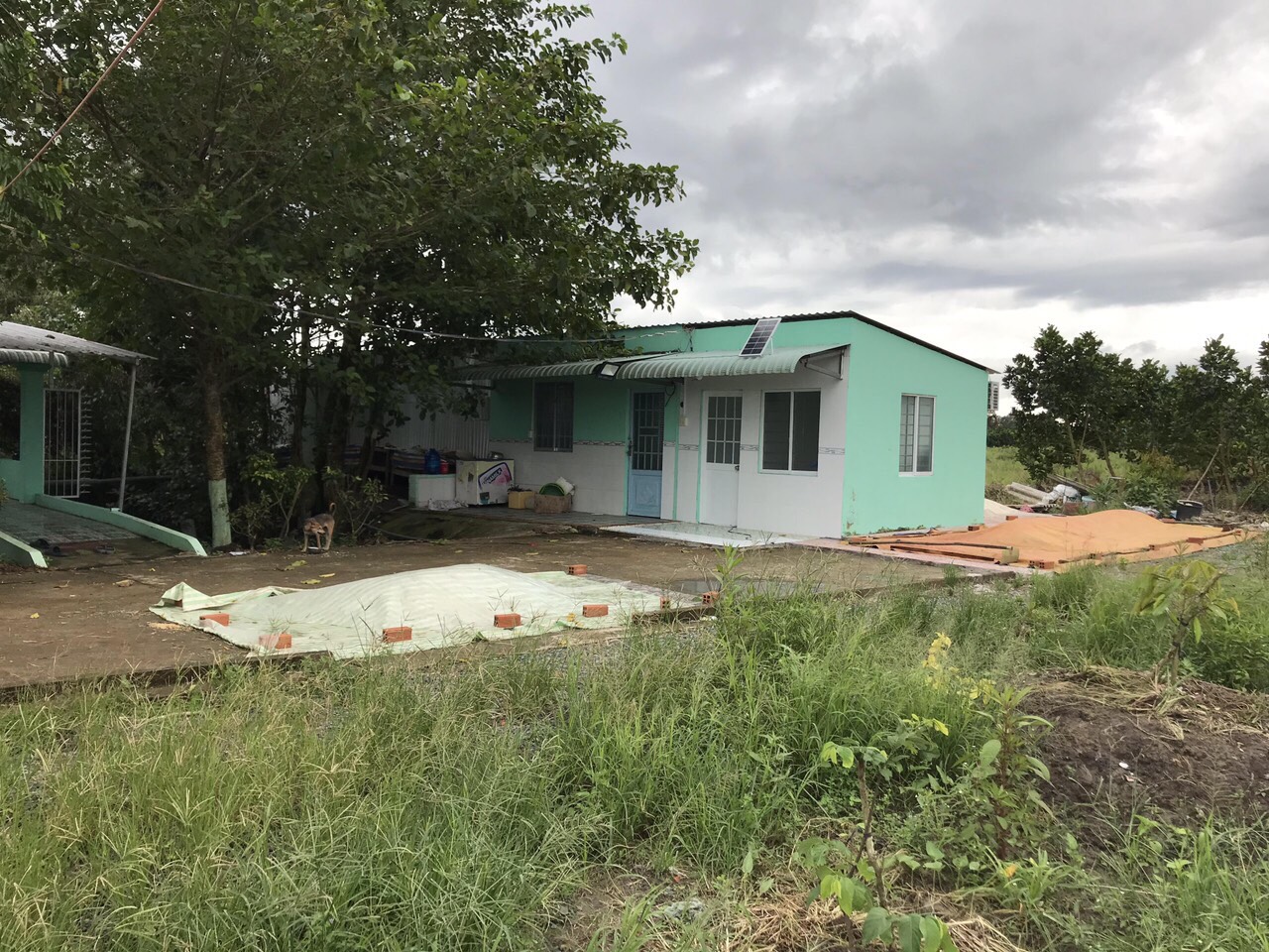 BÁN GẤP 23,500M2 ĐẤT VƯỜN HUYỆN CHÂU THÀNH A, HẬU GIANG.