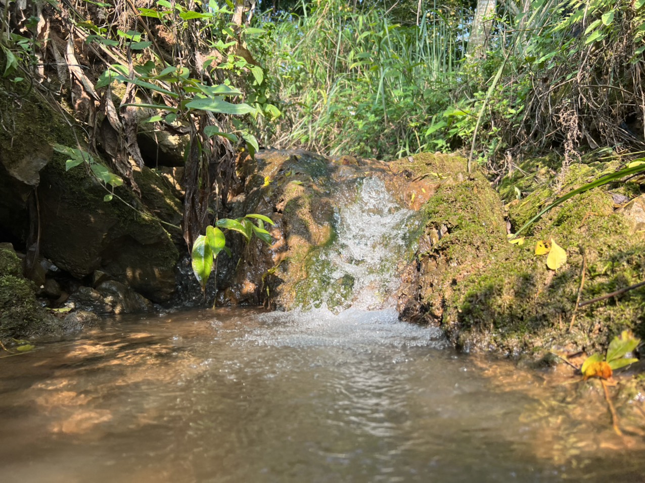 Bán nhanh 2066m số phát lộc cho anh chị nghỉ dưỡng giá cực rẻ