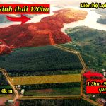  13000m2 - 1