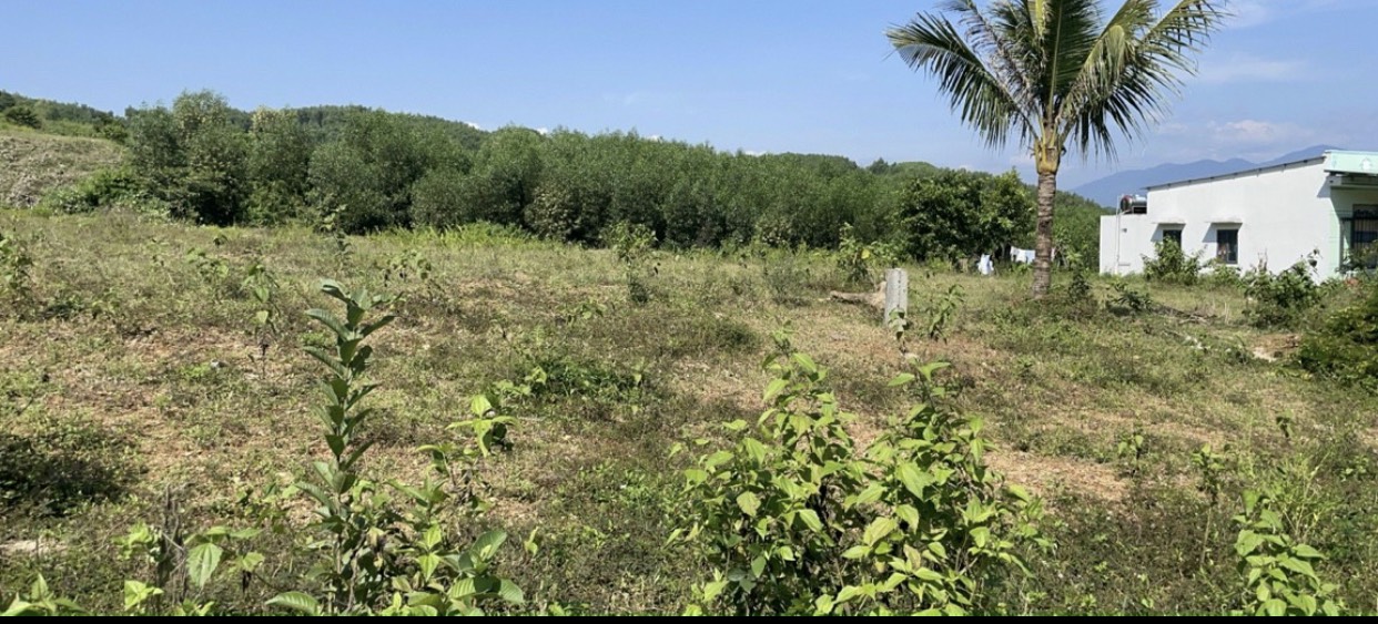 ĐẤT NỀN KHÁNH HOÀ -ĐẤT NỀN KHÁNH PHÚ KHÁNH VĨNH..