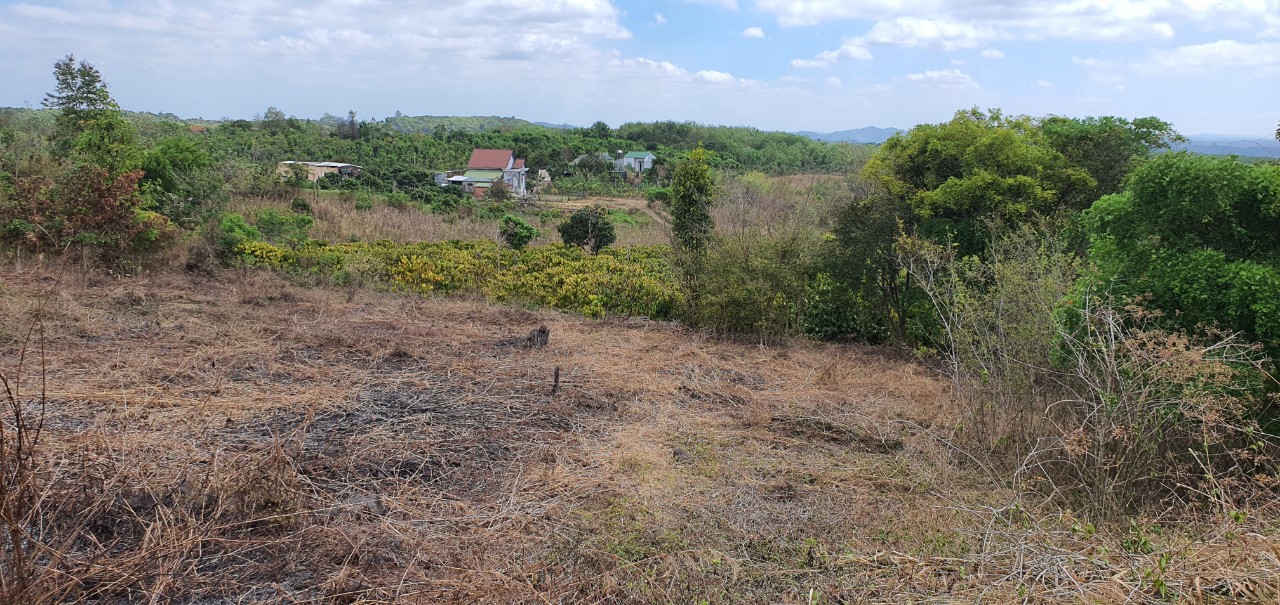 Chính chủ cần bán lô đất đẹp tại xã Đăk Gắn , Huyện Đăk Mil , Đăk Nông