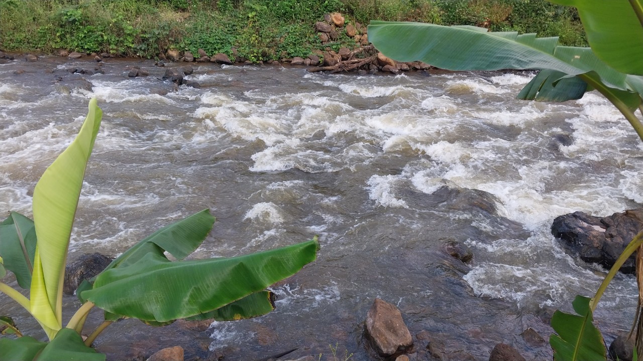 Đất nền CHỦ CẦN BÁN 12X44 VIEU HỒ THƯỢNG