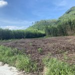  7000m2 - 1