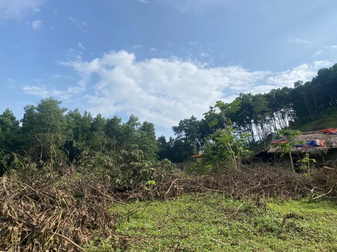 Hạ giá bán gấp đất rừng sản xuất tại Liên Sơn, Lương Sơn, Hoà Bình