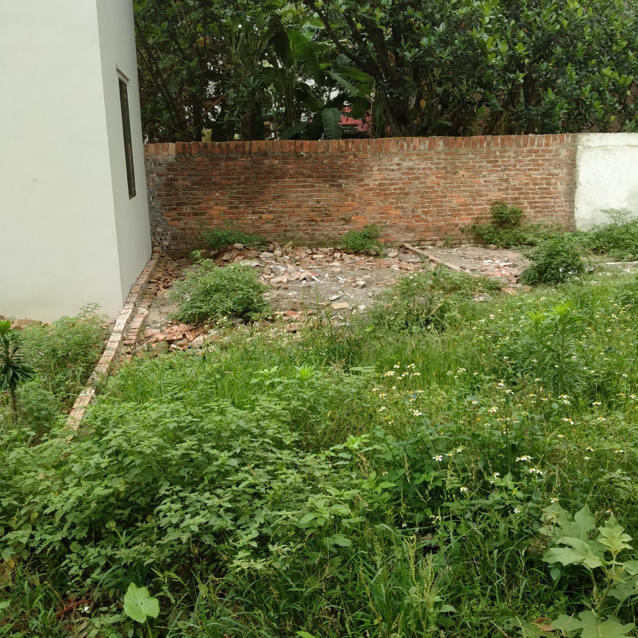 Cần bán 41,5m2 đất phân lô thôn Viên Ngoại, Đặng Xá, Gia Lâm