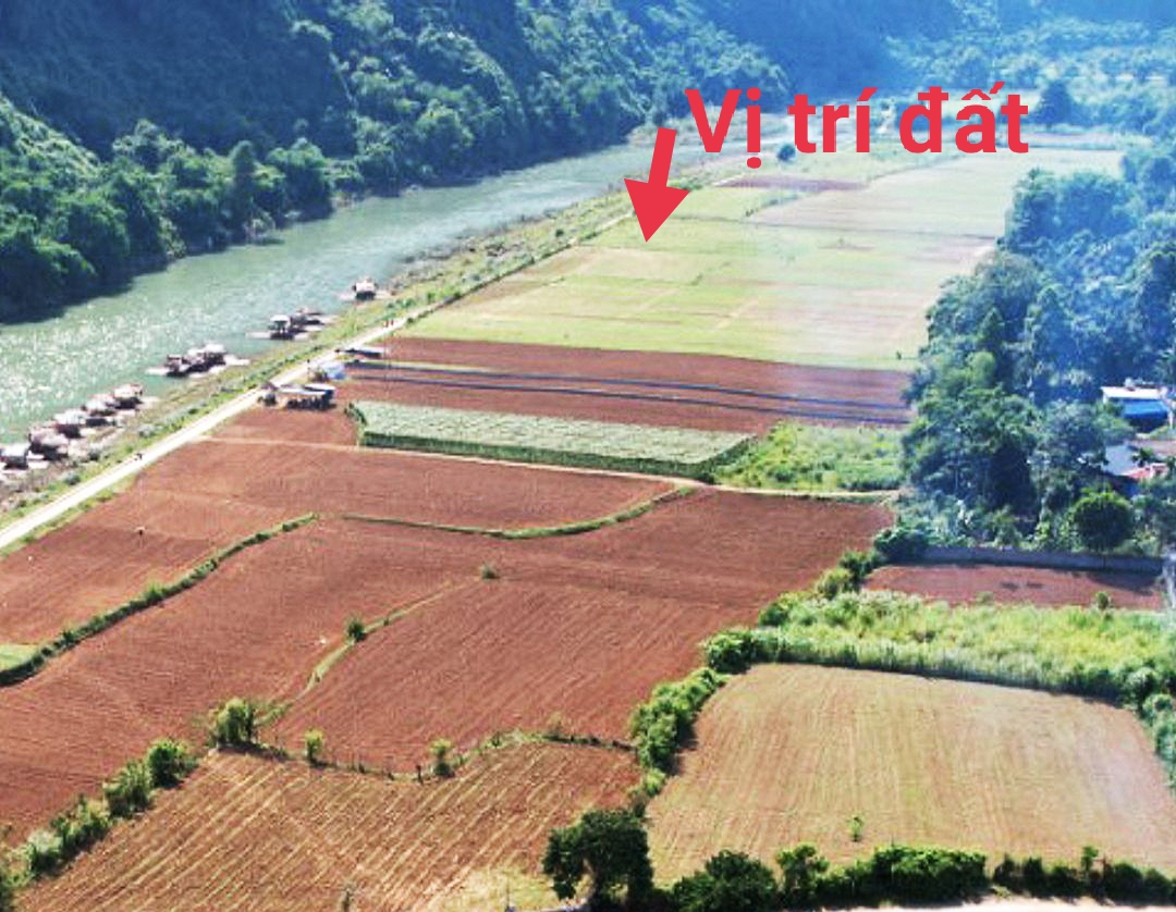 SIÊU PHẨM BÁM SÔNG BÔI CÓ DT 2500m2 BÊN DƯỚI LÀ ĐIỂM CẮM TRẠI VÀ KHU BÈ NỔI TRÊN SÔNG