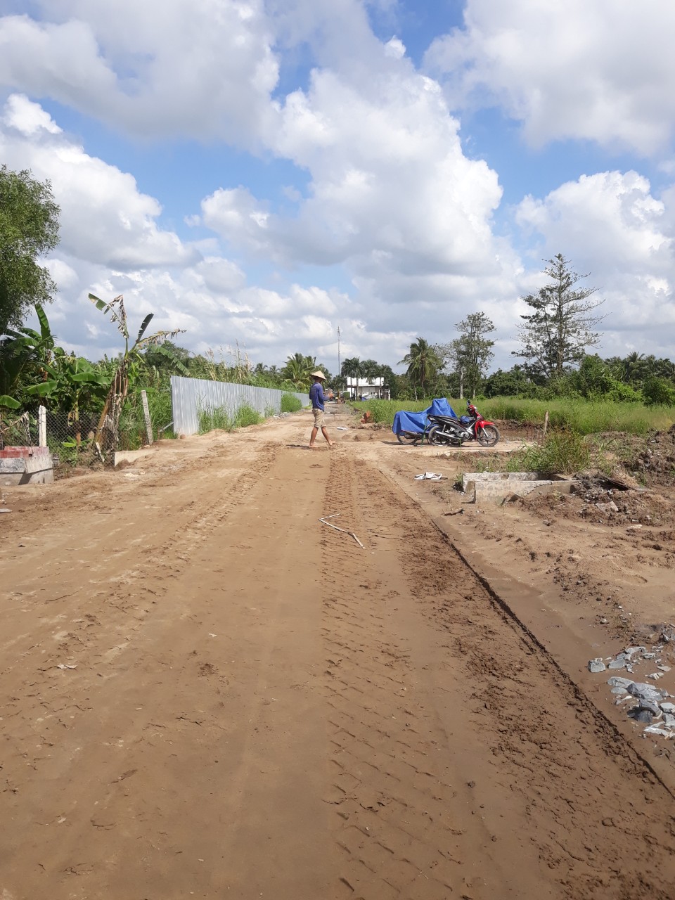 ĐẤT NỀN MẶT TIỀN QL1A- GIAI ĐOẠN LÚA NON