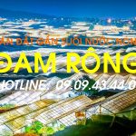  10000m2 - 4