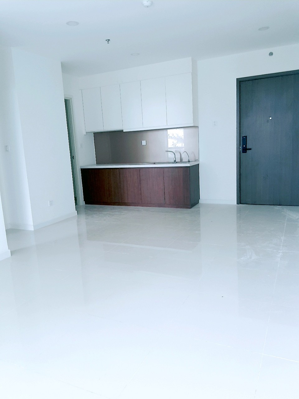 Căn hộ Central Premium - Quận 8, giỏ hàng T12/2022 căn đẹp giá tốt, nhiều ưu đãi