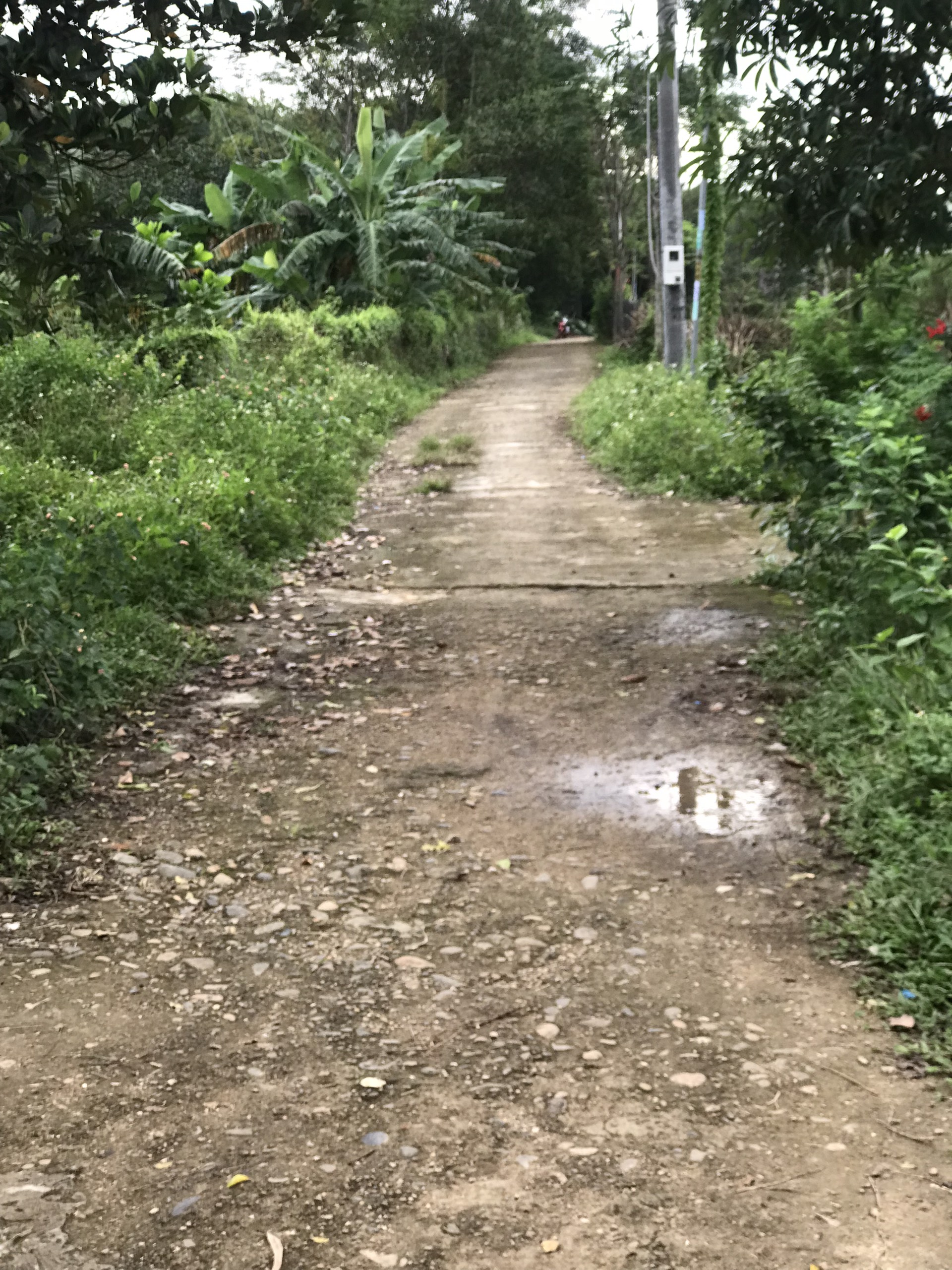 CẦN BÁN GẤP ĐẤT ĐẸP MT NGUYỄN TRÃI TT CAM LỘ, DT 6x18,5 GIÁ 350TR. LH: 0934.743.522