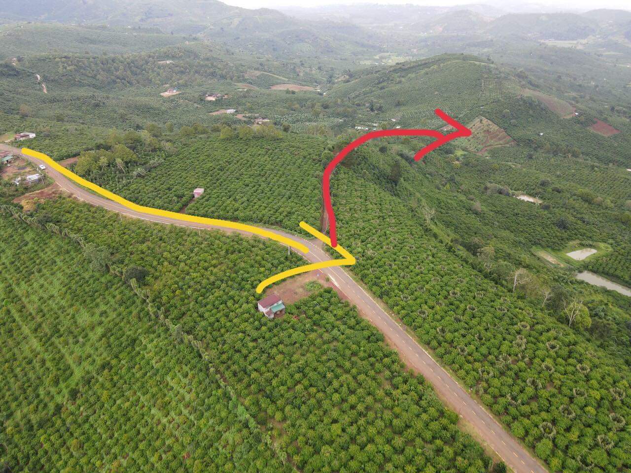 Hot! Hot! Chính Chủ Bán Đất Tại Di Linh – Lâm Đồng