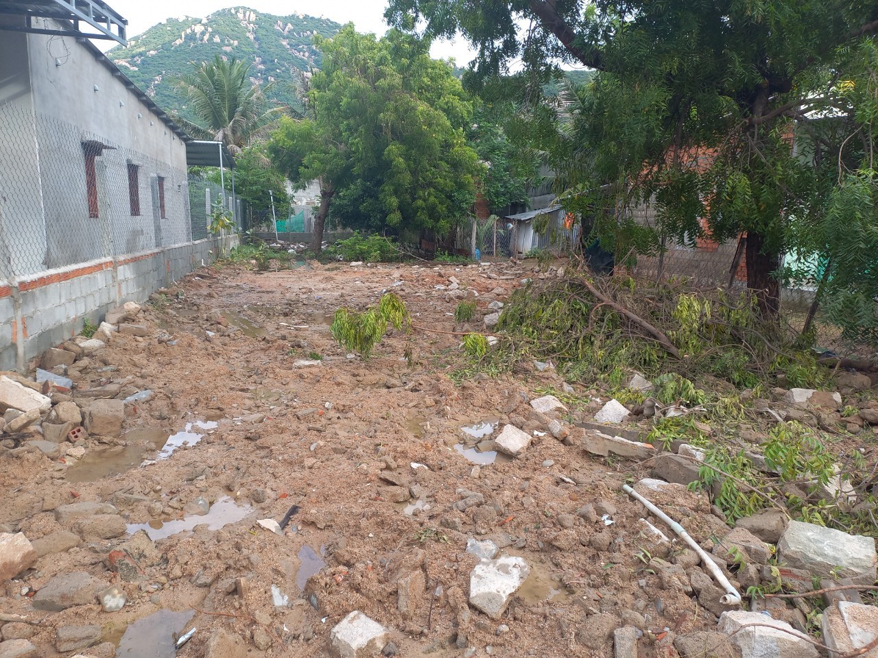 Hot! Hot! Chính Chủ Cần Bán Gấp Đất Thổ Cư Gần Biển Tại Ninh Thuận.