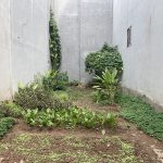  50m2 - 1
