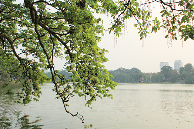 BÁN GẤP NHÀ MP NGÕ TRUNG YÊN.DT:100M2,MT:6.5M.NGAY GẦN PHỐ ĐINH LIỆT.KD,CHO THUÊ SẦM UẤT.