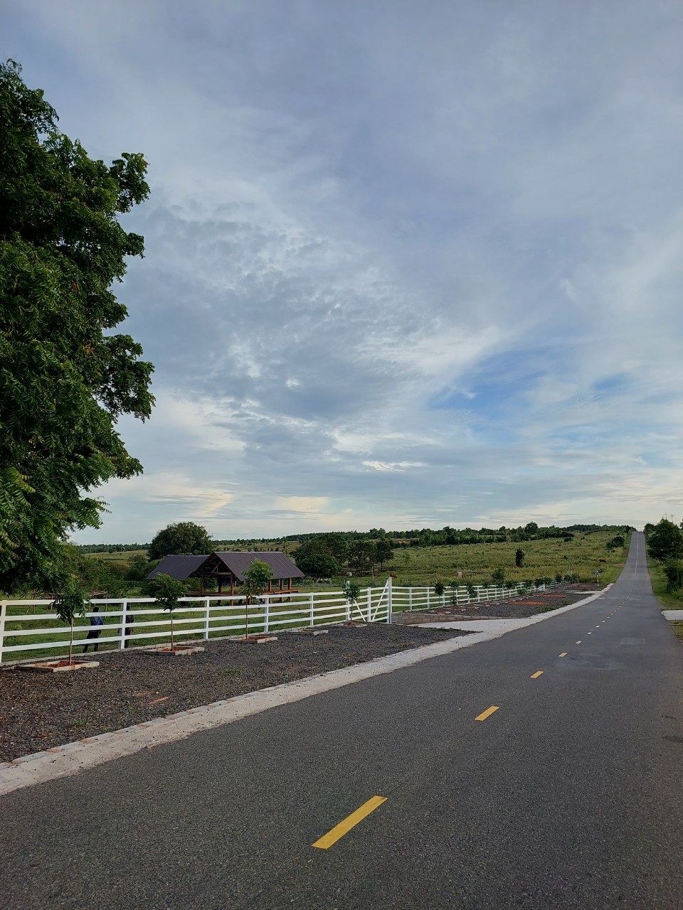 Siêu phẩm 8000m2 đất mặt tiền dài 115m đường nhựa 715, Xã Hồng Phong, Bắc Bình, Bình Thuận