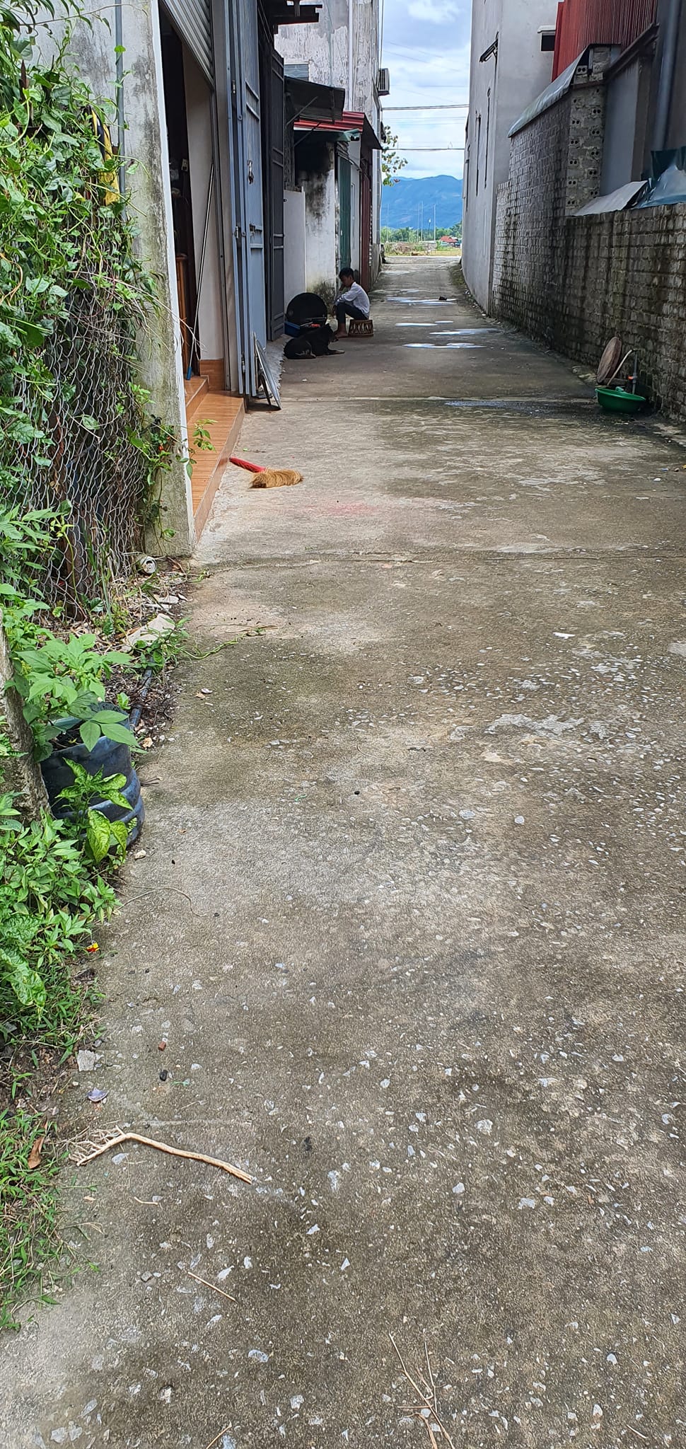 Bán đất tại đội 5c Thanh Luông, Điện Biên