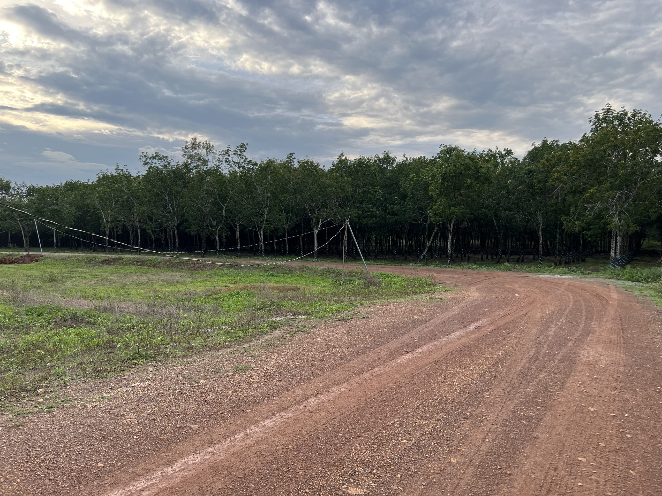 Bán ngộp : 16 x 62 đất cln ấp 2 Hòa Hội, đường nhà nc 6m - Giá chỉ 1 tỷ đúng