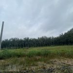  250m2 - 3