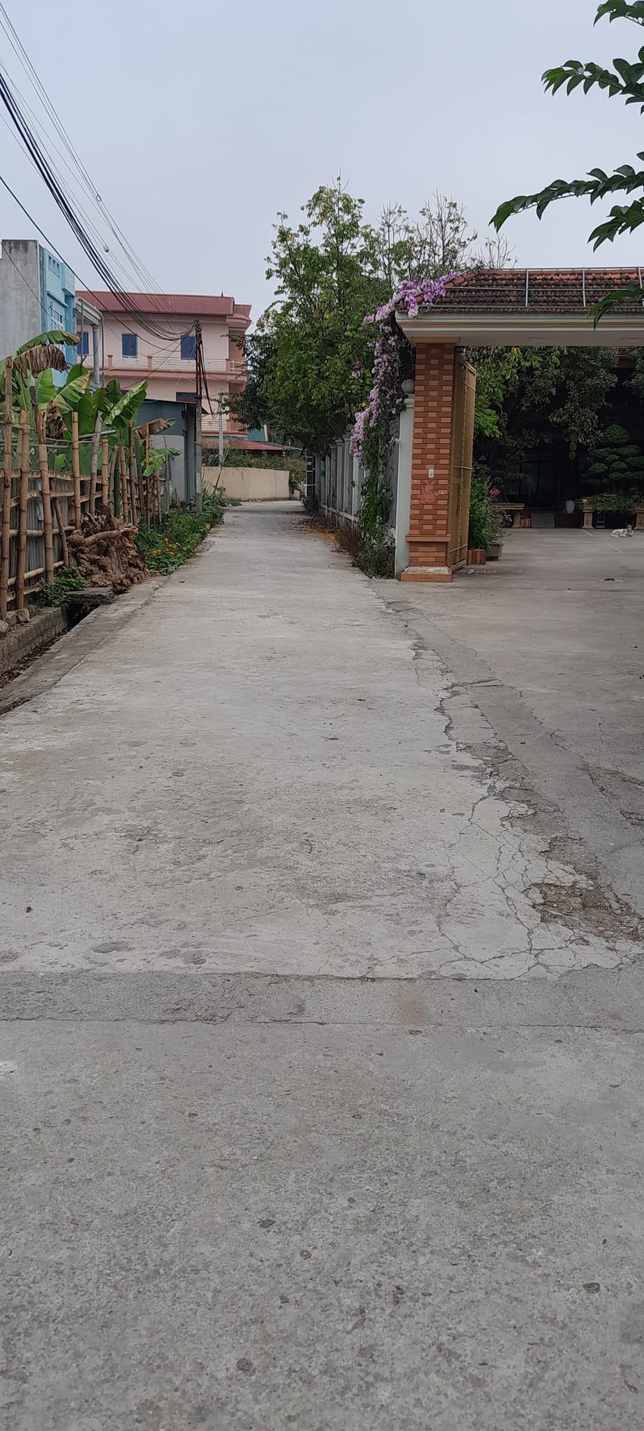 Gia đình cần bán đất chính chủ tại tổ 8 phường Thanh Trường, TP Điện Biên Phủ