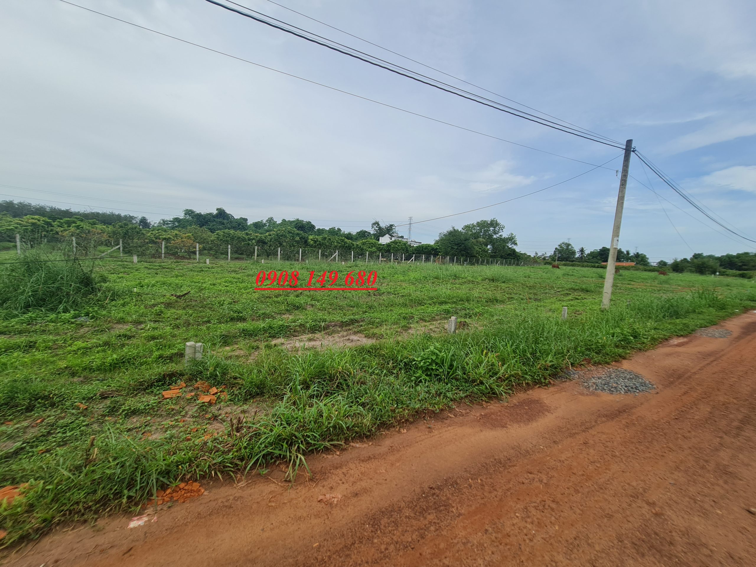 đất bàu đồn giá rẻ tại gò dầu tây ninh