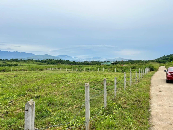 Thi-truong-ban-dat-Dien-Khanh-Khanh-Hoa-thu-hut-gioi-dau-tu-4
