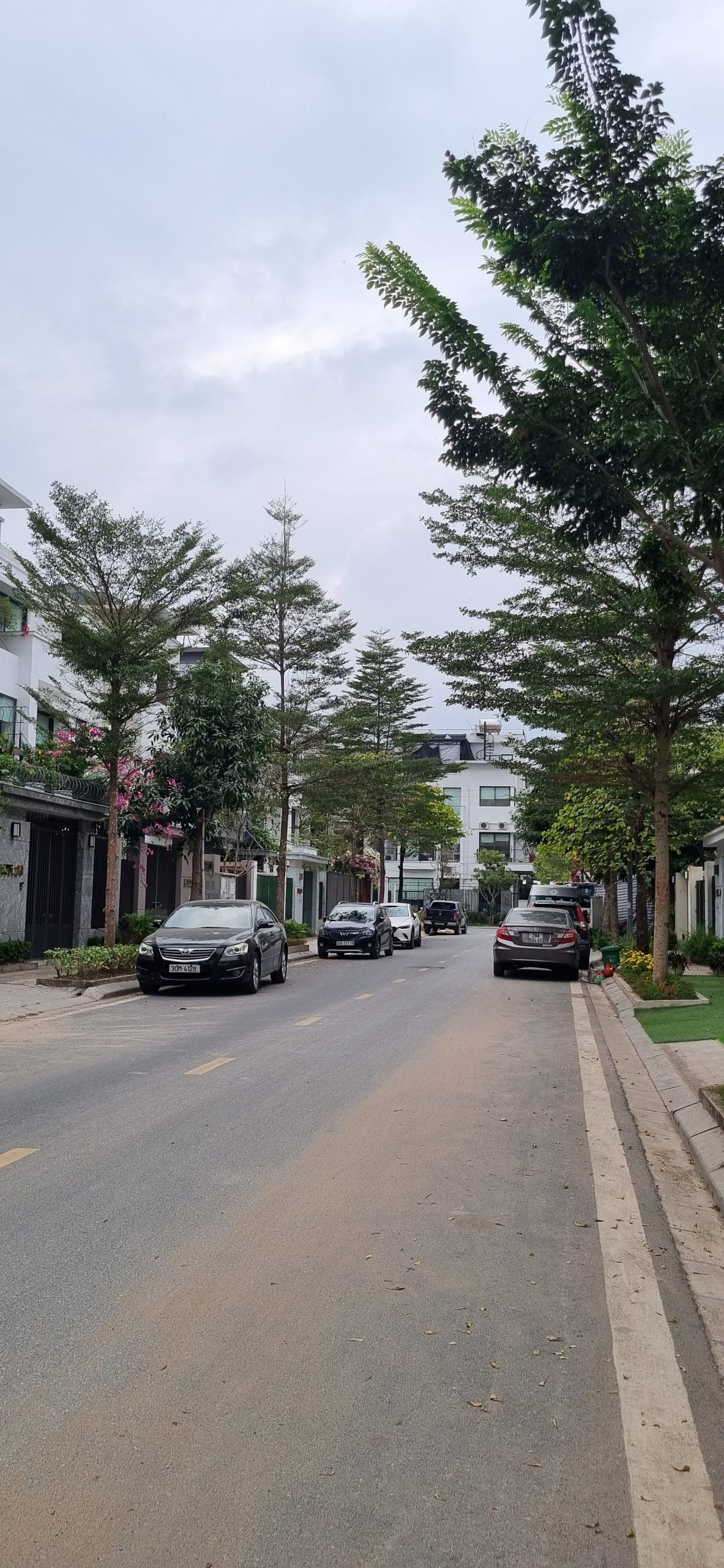 Mặt ngõ Cầu Giấy, lô góc, kinh doanh, oto, mặt tiền rộng. - DT 68m², mặt tiền 6.25m, hậu 6.3m. - Giá 13.5ty (CTL)