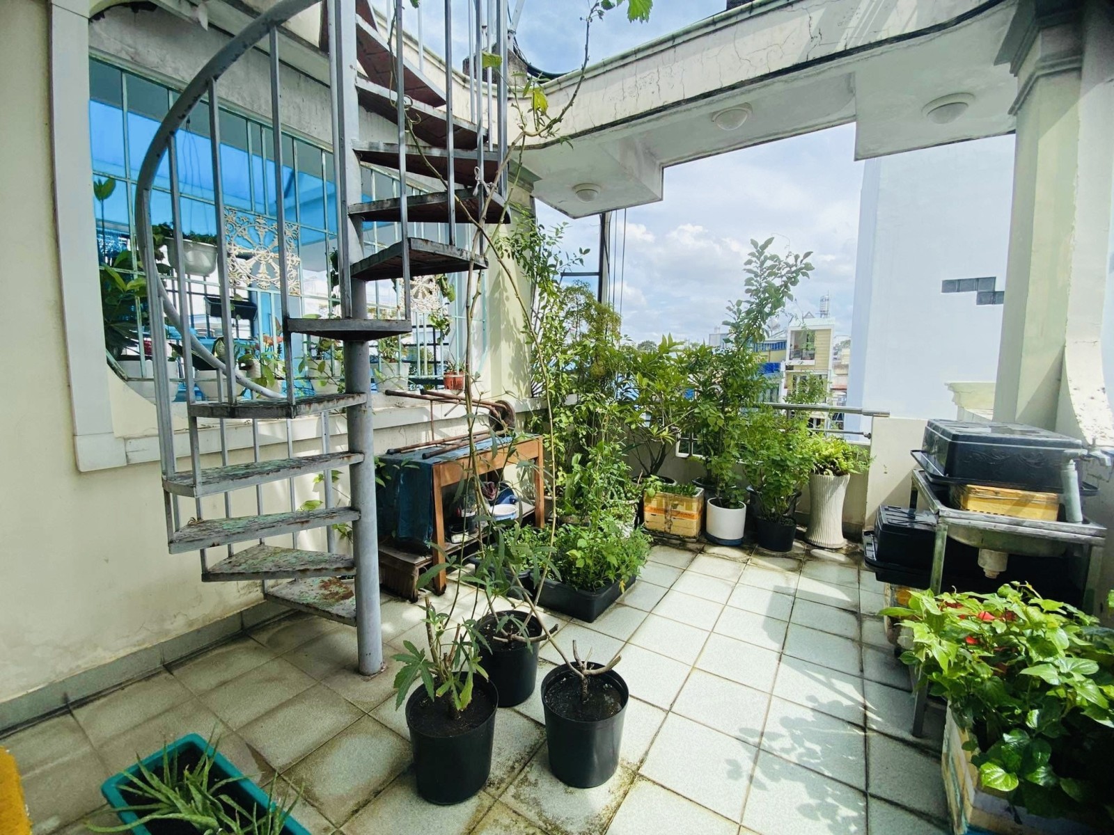 Bán nhà riêng Nguyễn Thiện Thuật Q3 5 lầu nở hậu 3,4m x 11m 8 tỷ 9