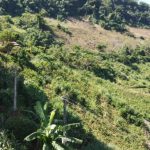  5100m2 - 1