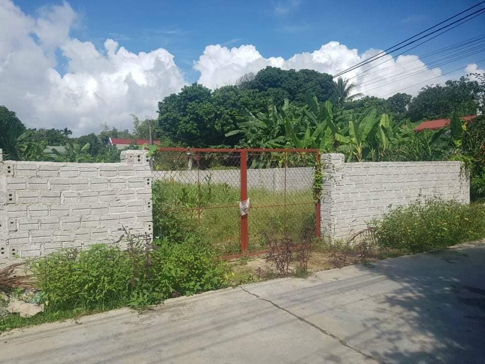 Nhà mình cần bán mảnh đất tại đội 23 xã Noong Hẹt, huyện Điện Biên