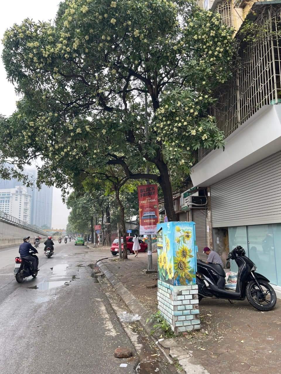 80m2