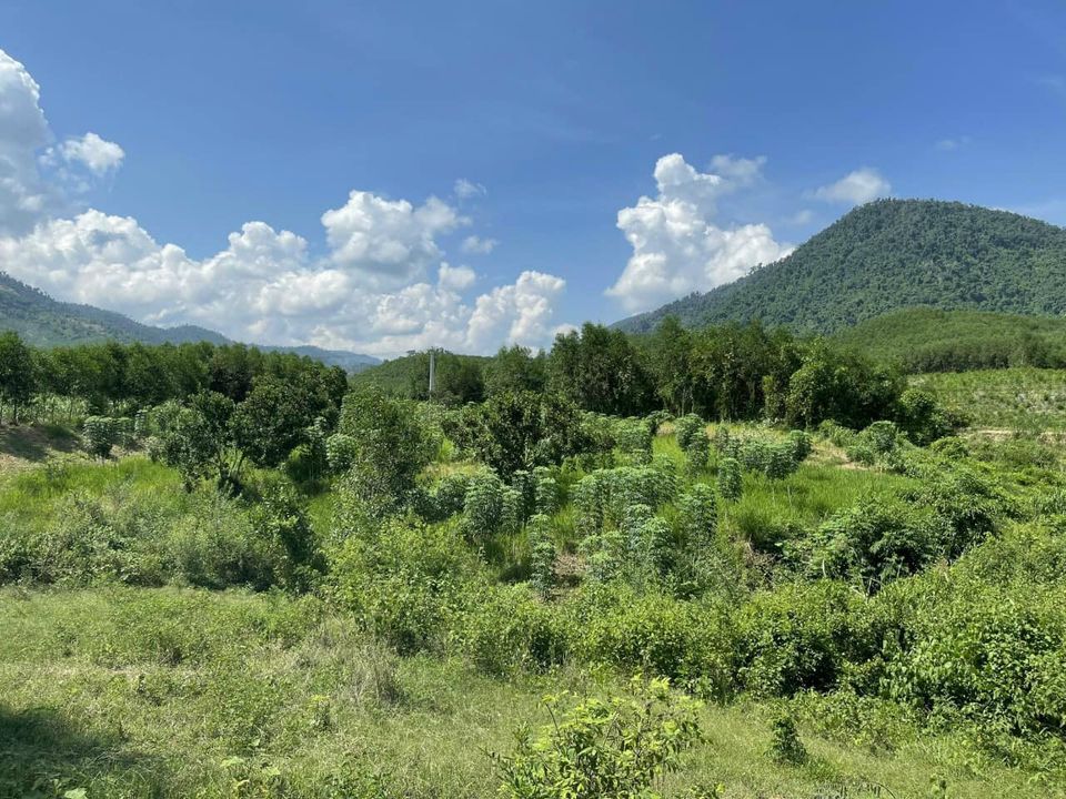 Lô đất vừa View Sông vừa Giáp Suối xã Khánh Trung - Khánh Vĩnh.Giá 230tr