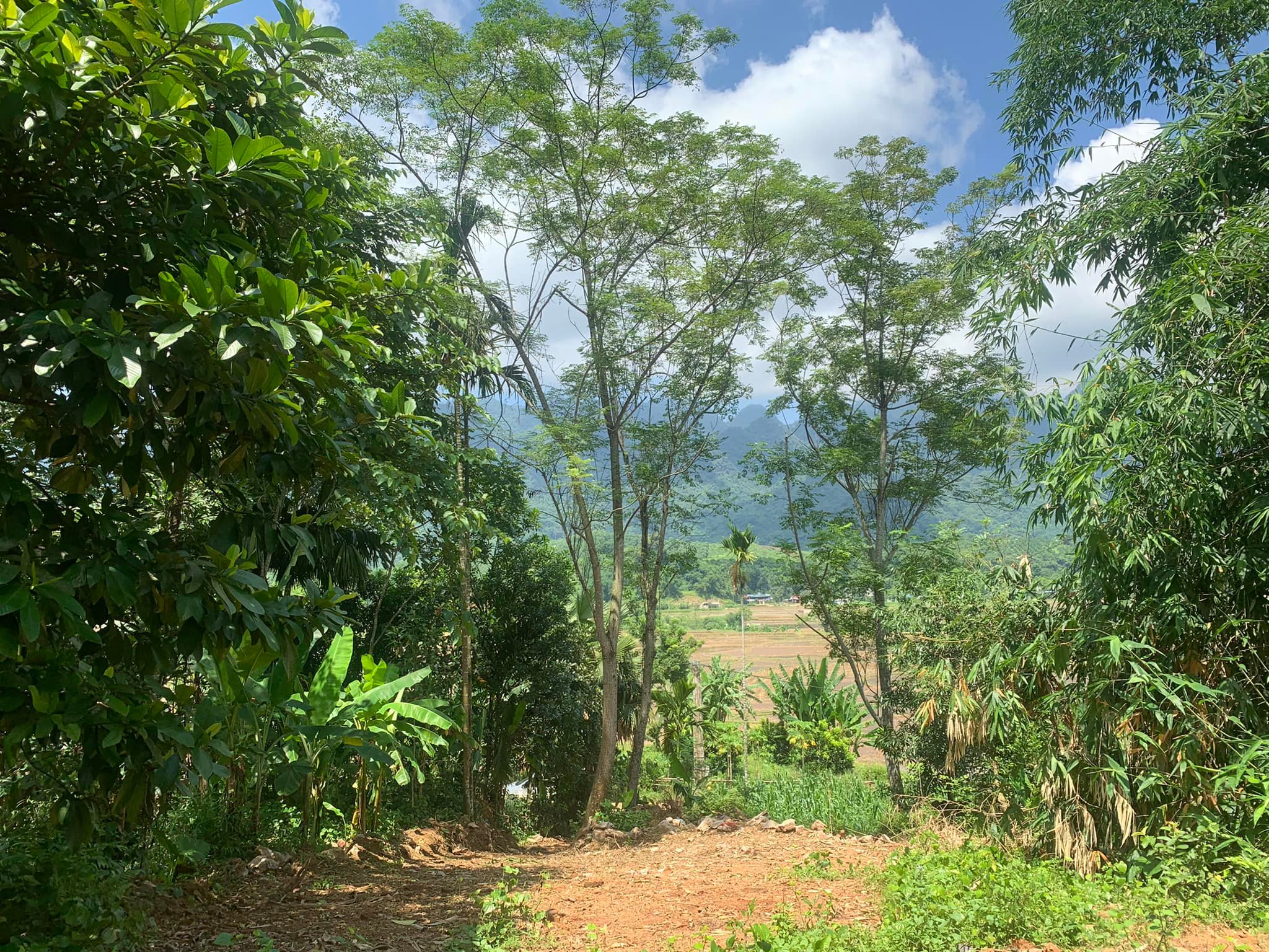 Đất rẻ Nhanh tay, nhanh tay mua ngay 1516 Lỗ Sơn Chỉ đến 460k/m cho mảnh đất view cánh đồng quê, mát mẻ