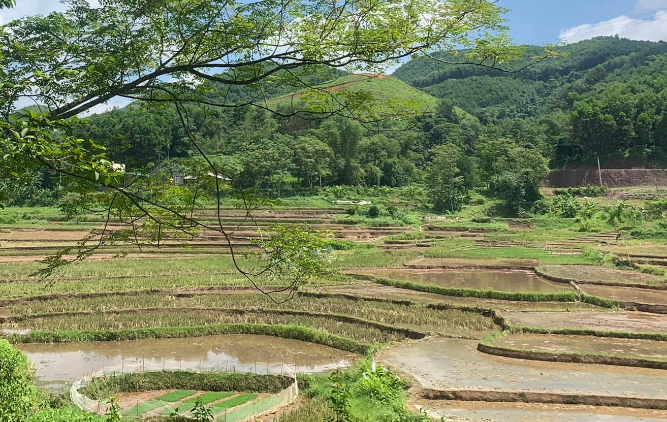 Siêu phẩm siêu đẹp Lỗ Sơn Diện tích 1516,6m có 400ont thế đất cao , view cánh đồng từ phía Nằm trên trục đường