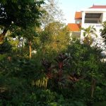  3300m2 - 6
