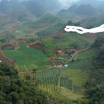 50000m2 - 5